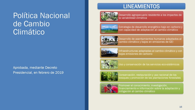 documento